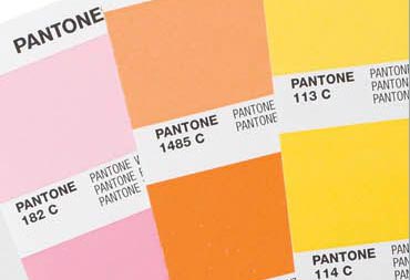 PANTONE STARTER GUIDE Solid Coated & Uncoated (GG1411)